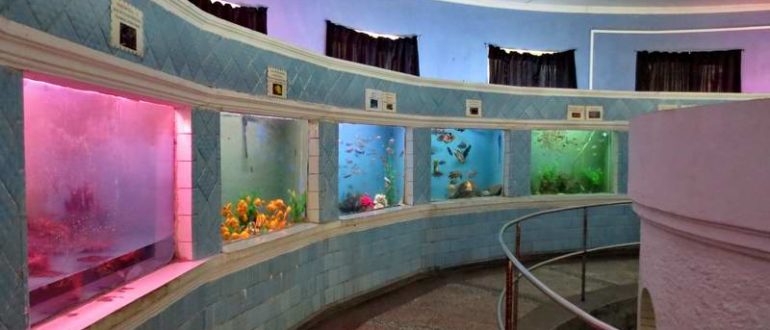 Аквариум в Батуми