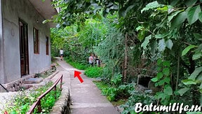 Горная речка Батуми Грузия