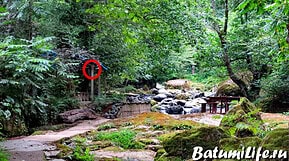 Горная речка Батуми Грузия