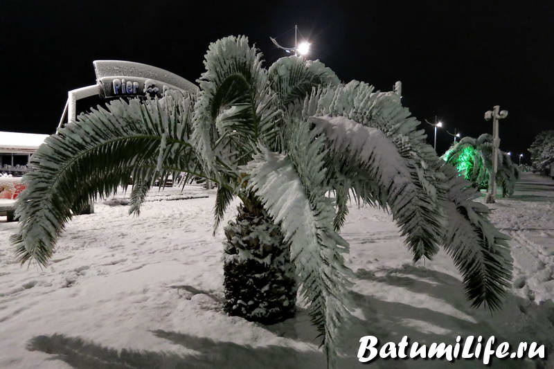 Снег Батуми 2015