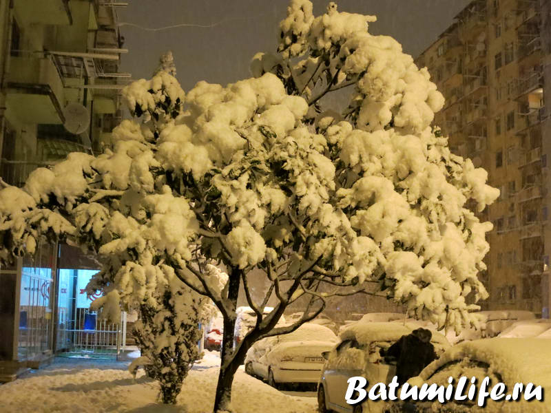 Снег Батуми 2015