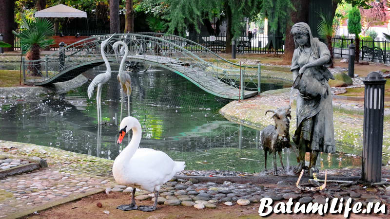 павлины, лебеди и пеликаны в Батуми