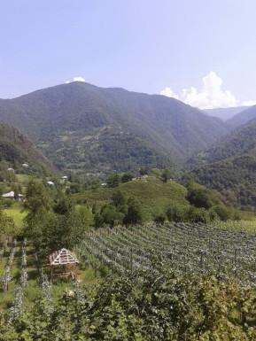 Отзыв об отдыхе в Батуми и Грузии 2015 Отдых в Батуми отзывы 2015 01